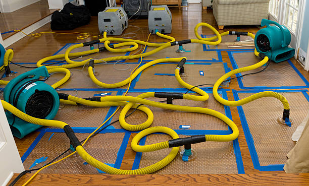 Professional Structural Drying And Dehumidification technician working in San Clemente, CA